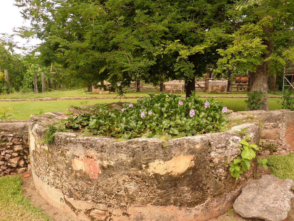 Hacienda Tepich Casa Vargas Mérida Exterior photo